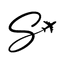SeoulExperience Logo